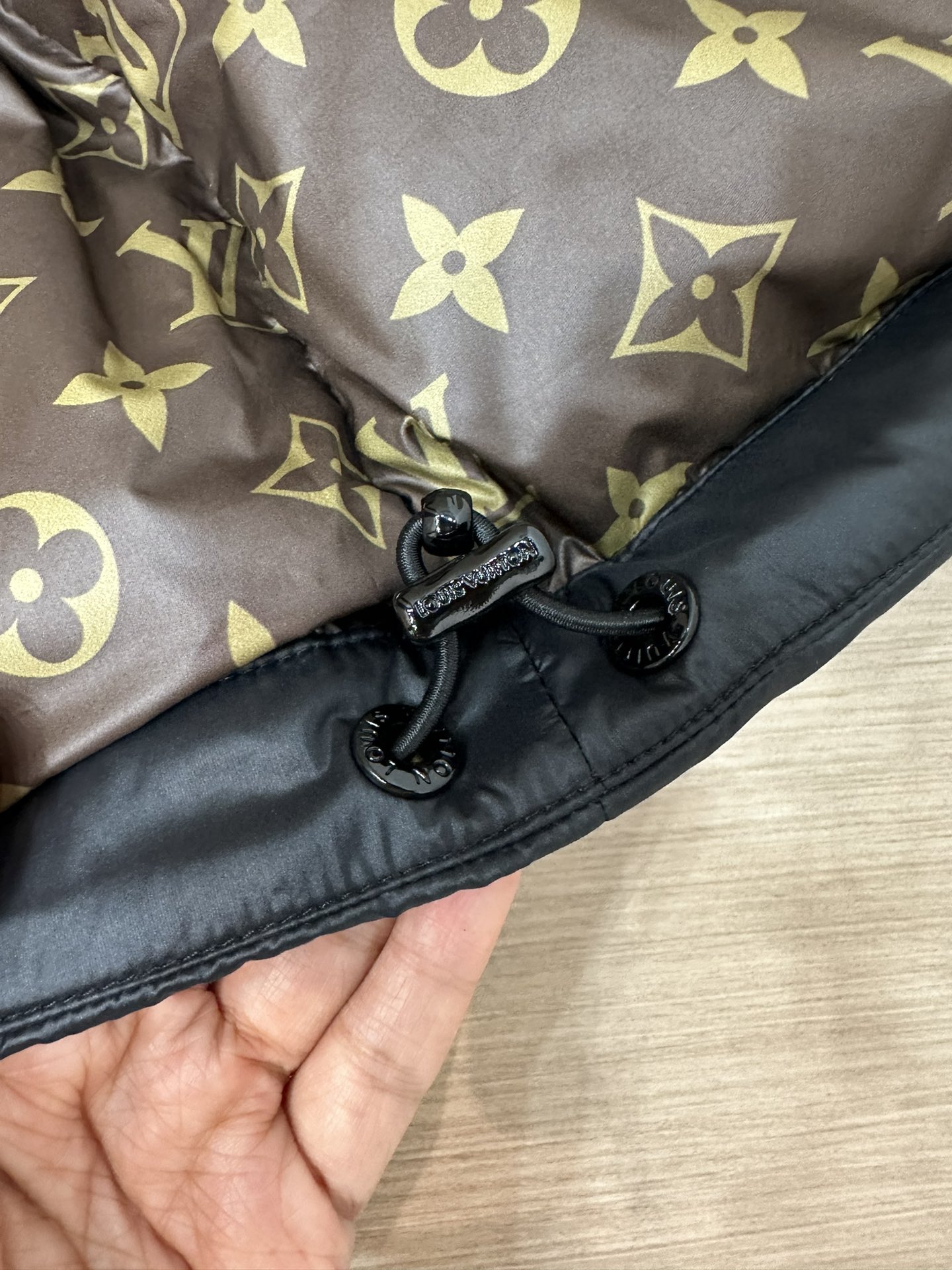 Louis Vuitton Down Jackets